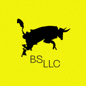 BS LLC | Branding & Strategy