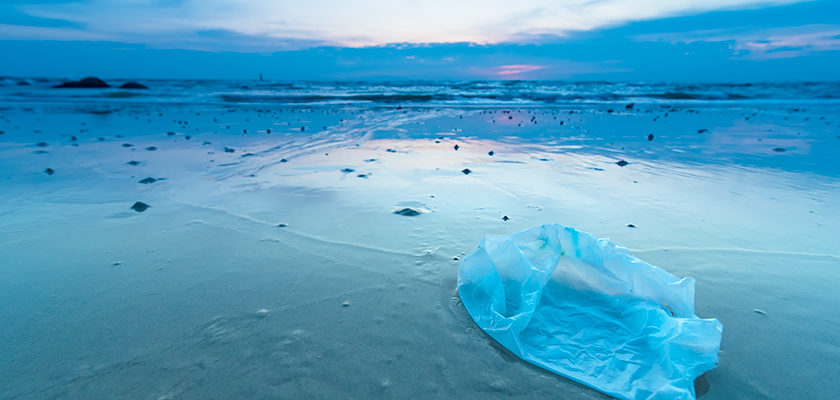 crowd-did-beach-clean-to-support-the-trees-and-seas-festival-organizedv