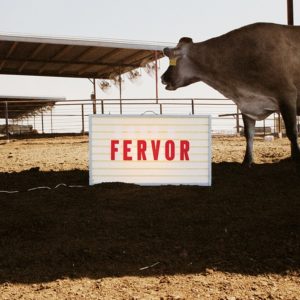 Fervor Creative